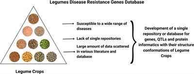 LDRGDb - Legumes disease resistance genes database